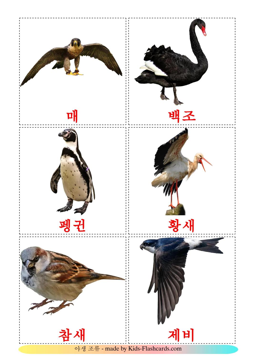 Wildvögel - 19 kostenlose, druckbare Koreanisch Flashcards 