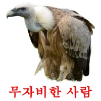 무자비한 사람 Bildkarteikarten