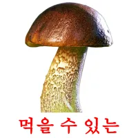 먹을 수 있는 ansichtkaarten