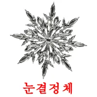 눈결정체 ansichtkaarten