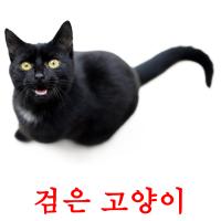 검은 고양이 card for translate