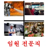 임원 전문직 карточки энциклопедических знаний