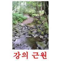 강의 근원 picture flashcards