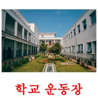 학교 운동장 cartões com imagens