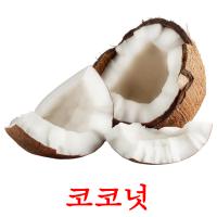 코코넛 card for translate