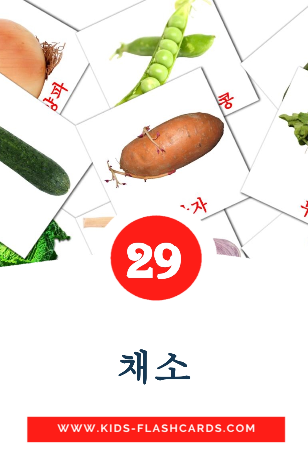 29 채소 Picture Cards for Kindergarden in korean