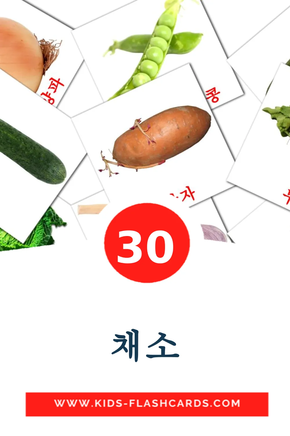 30 채소 fotokaarten voor kleuters in het koreaanse