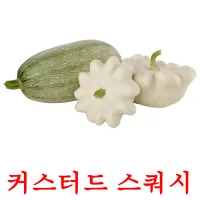 커스터드 스쿼시 ansichtkaarten