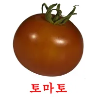 토마토 ansichtkaarten