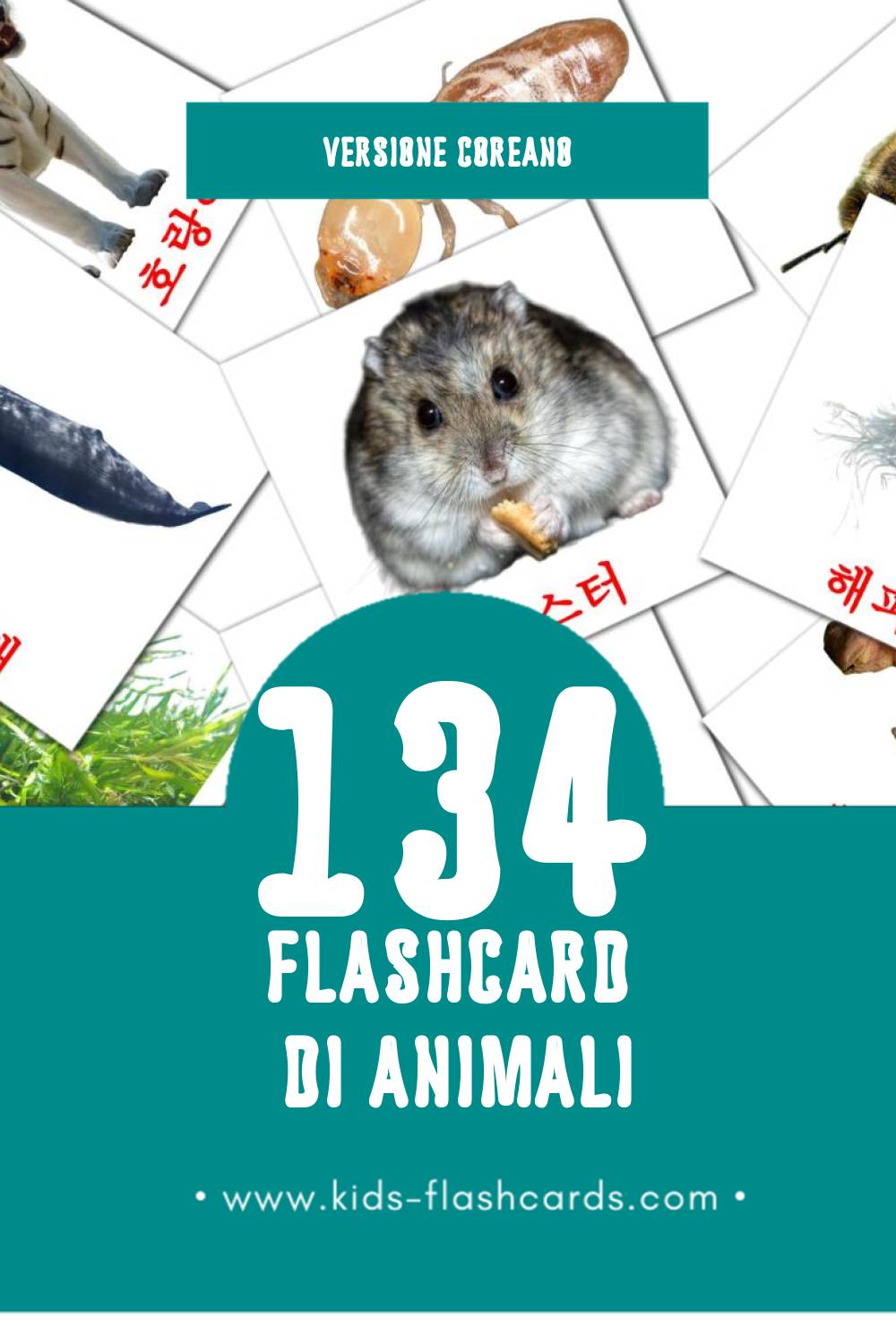 Schede visive sugli 동물 per bambini (134 schede in Coreano)