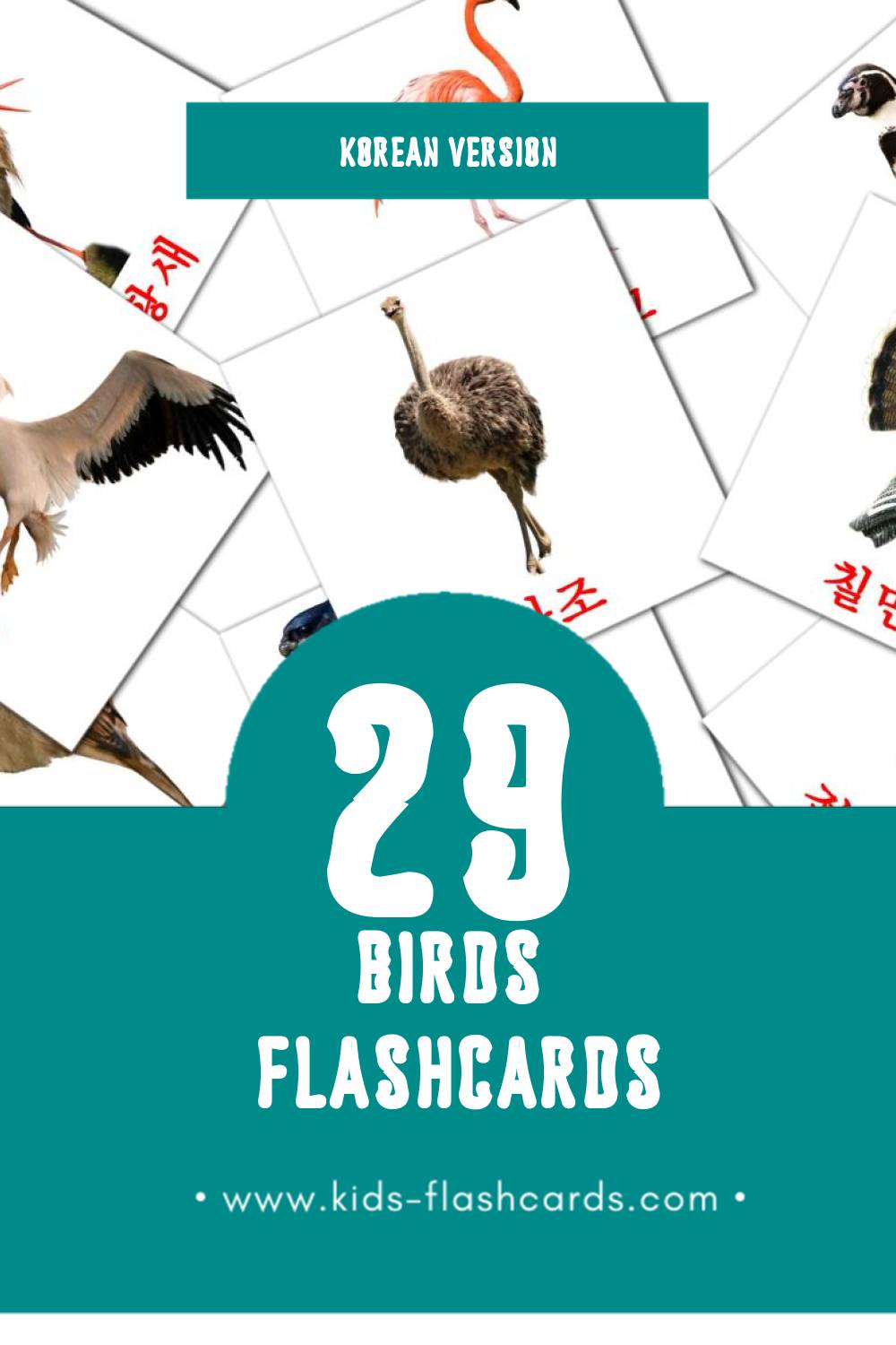 Visual 조류 Flashcards for Toddlers (29 cards in Korean)