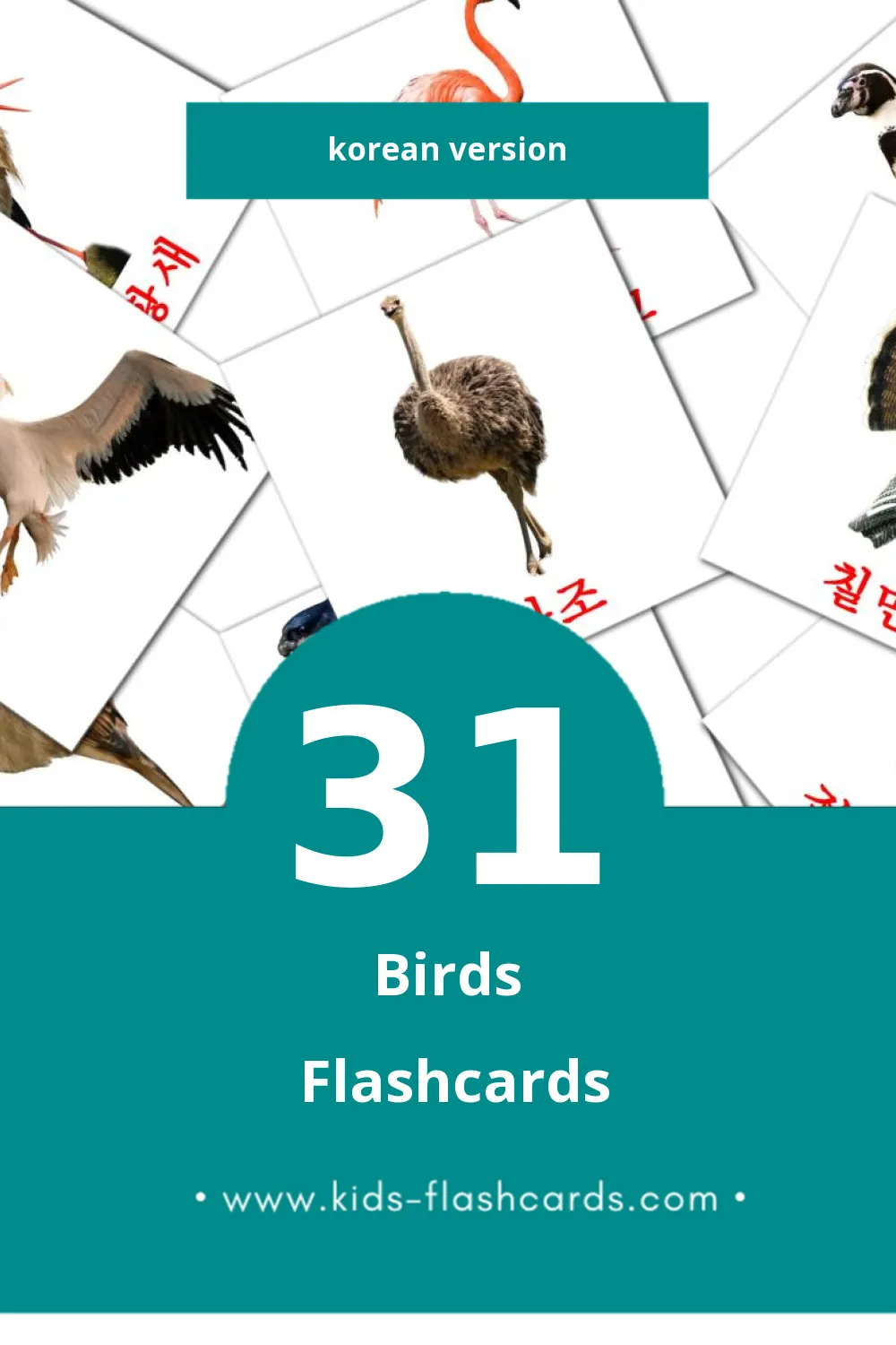 Visual 조류 Flashcards for Toddlers (31 cards in Korean)