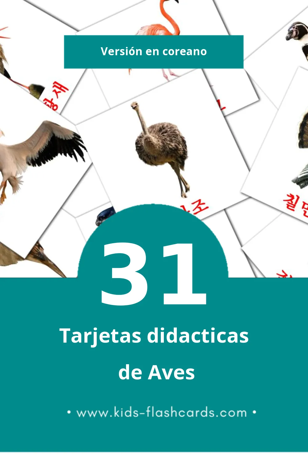 Tarjetas visuales de 조류 para niños pequeños (31 tarjetas en Coreano)