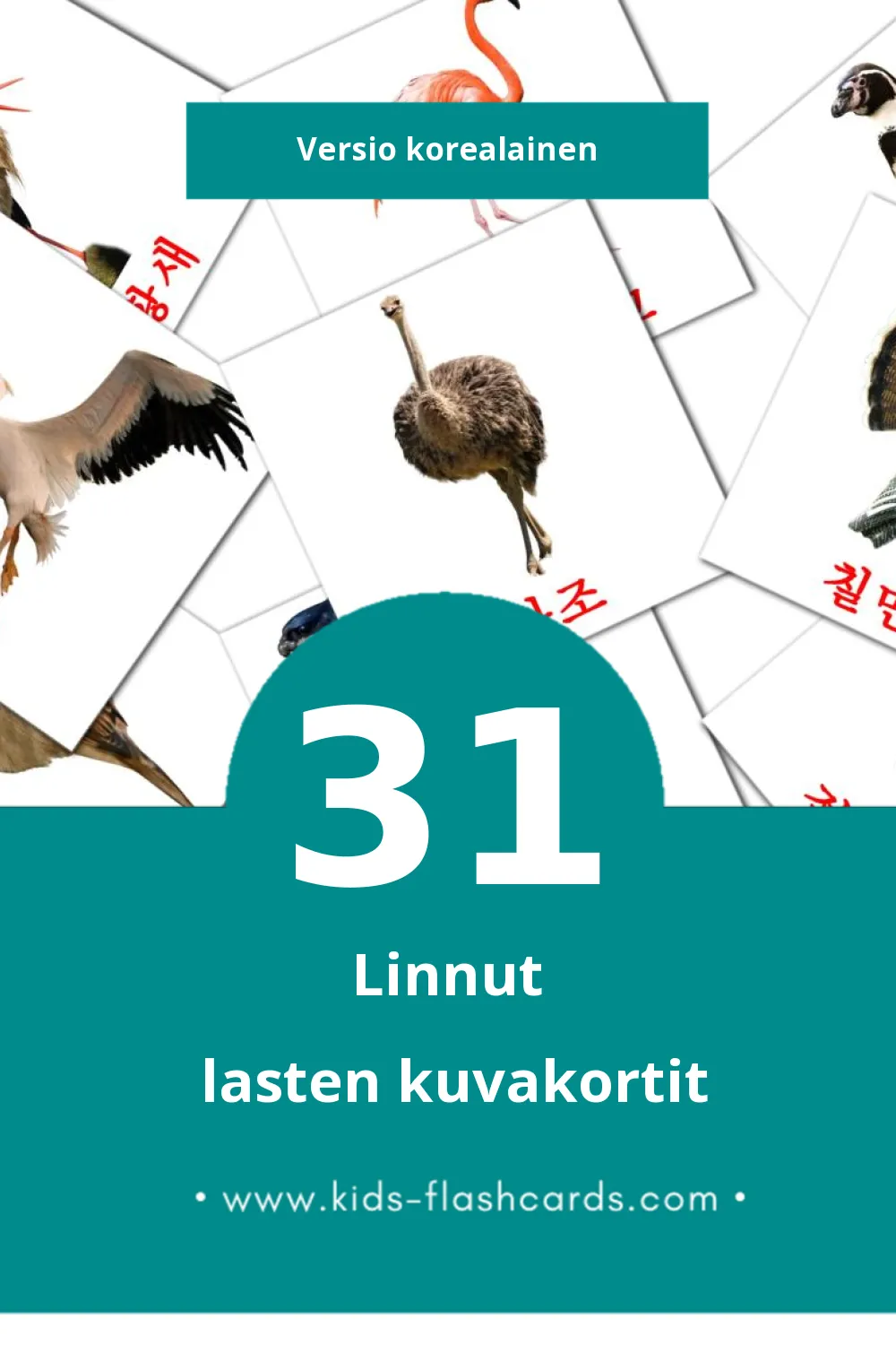 조류 lasten kuvakortit pikkulapsille (31 korttia Korealaiseksi)