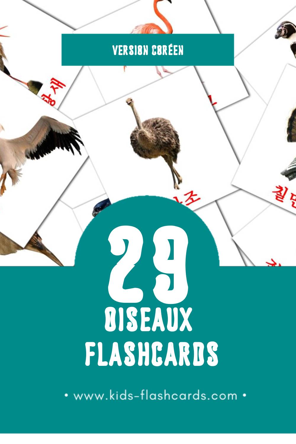Flashcards Visual 조류 pour les tout-petits (29 cartes en Coréen)