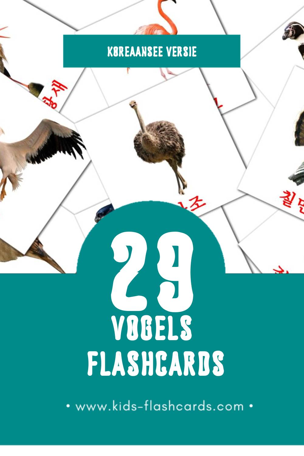 Visuele 조류 Flashcards voor Kleuters (29 kaarten in het Koreaanse)