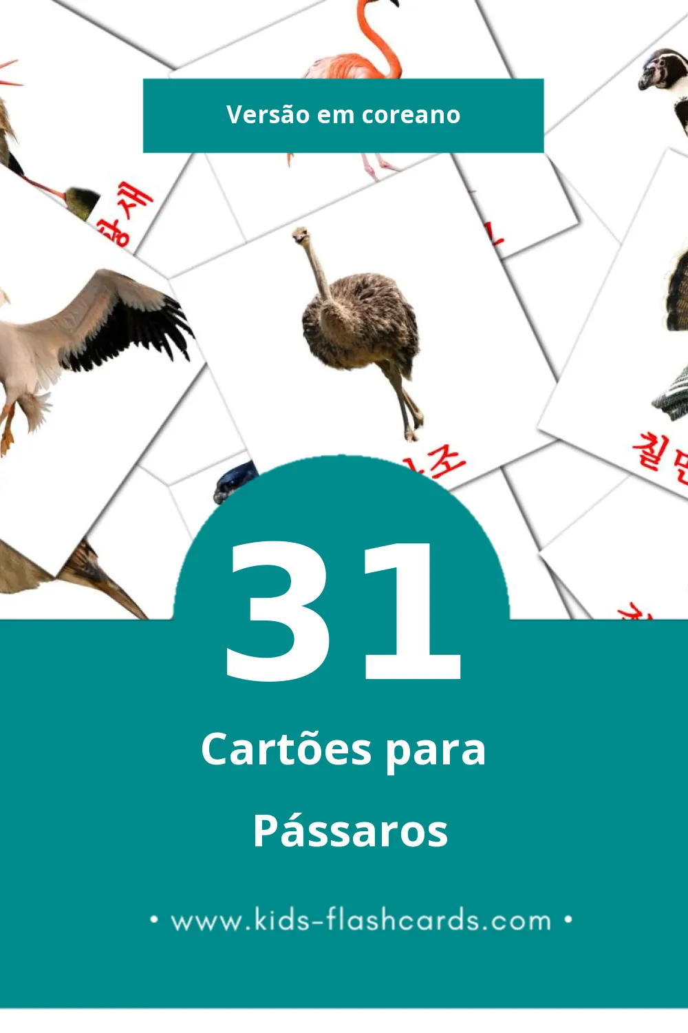 Flashcards de 조류 Visuais para Toddlers (31 cartões em Coreano)