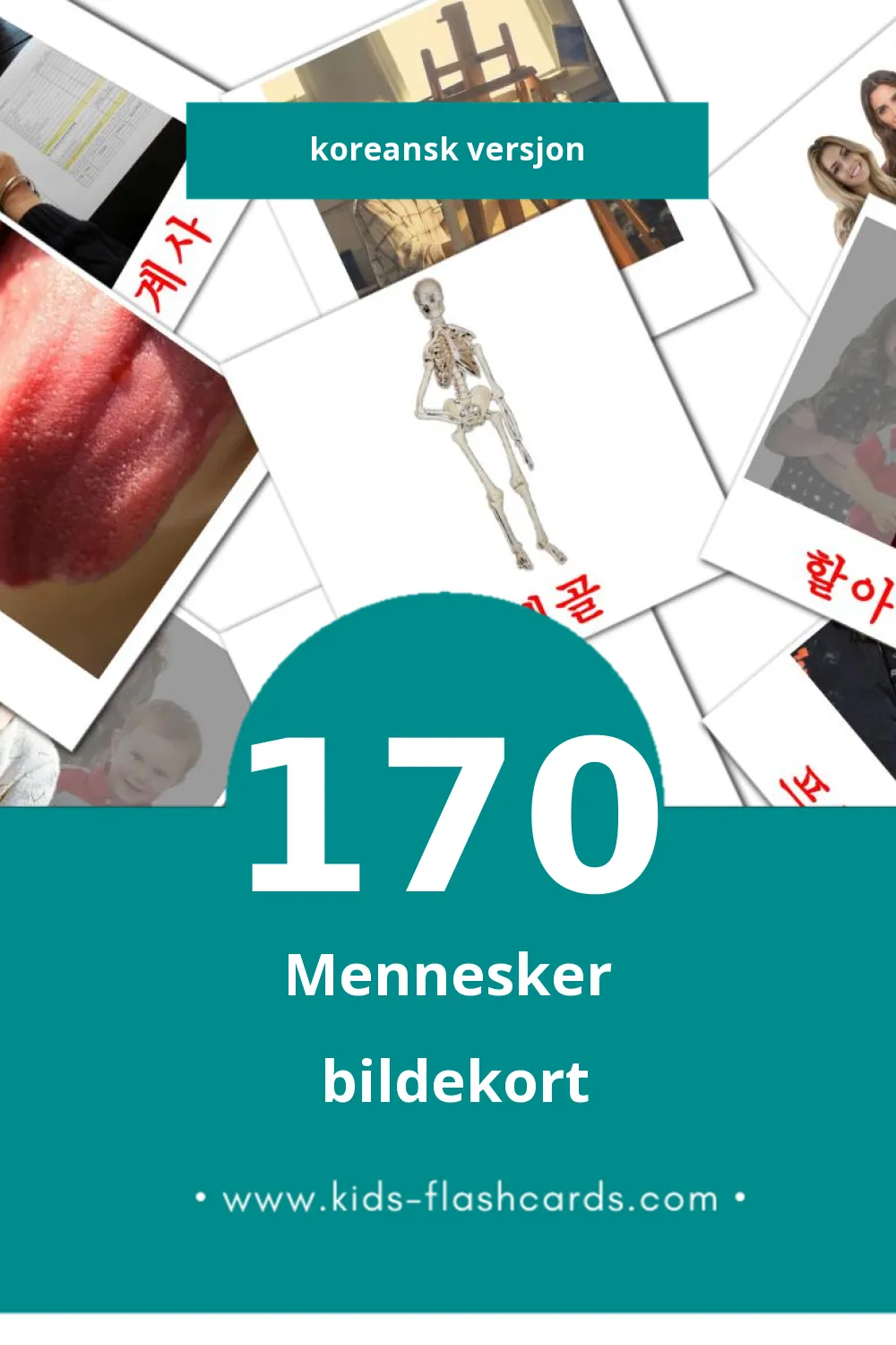 Visuelle 사람 bildekort for småbarn (170 kort på Koreansk)