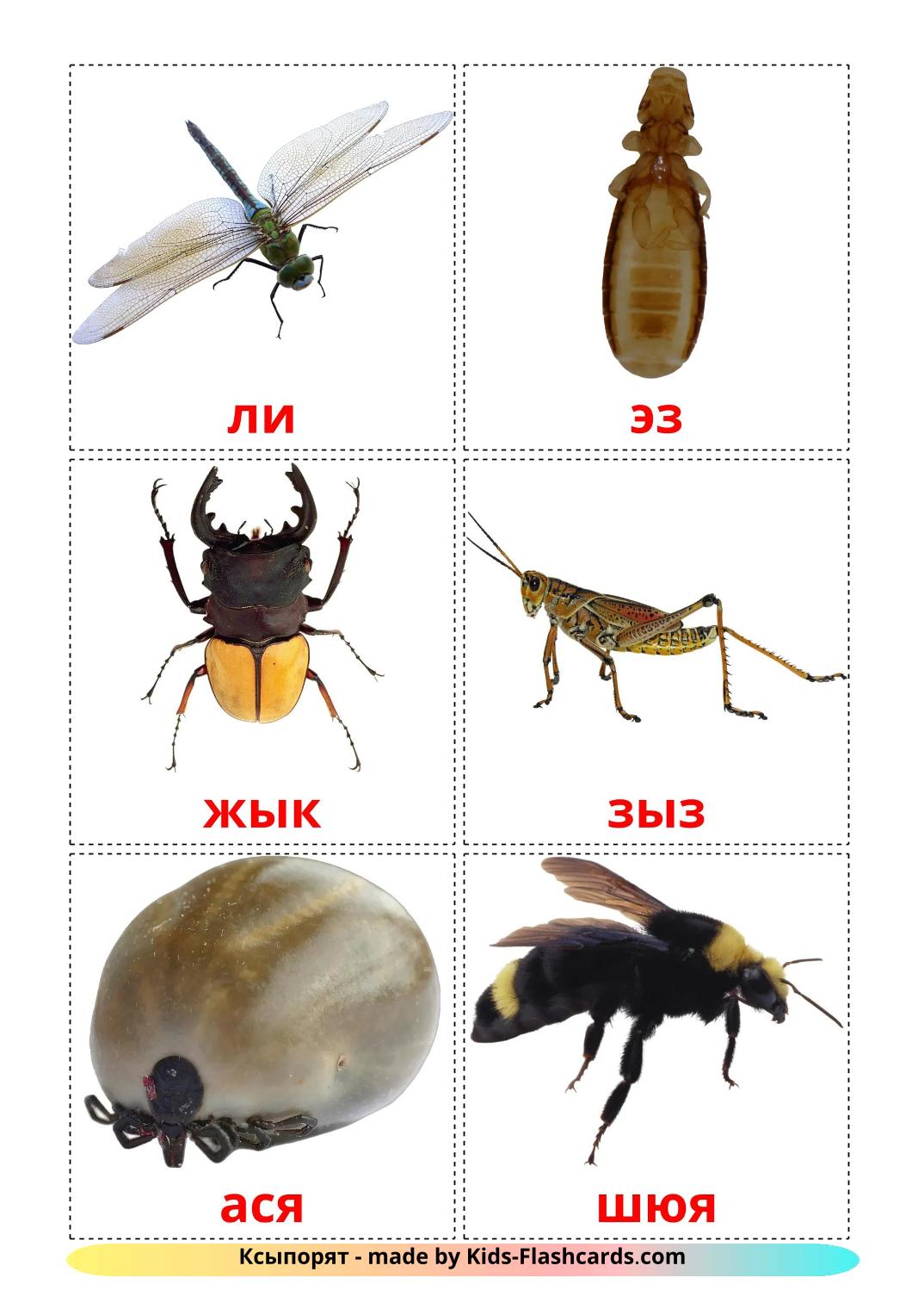 Insetti - 24 flashcards komi stampabili gratuitamente