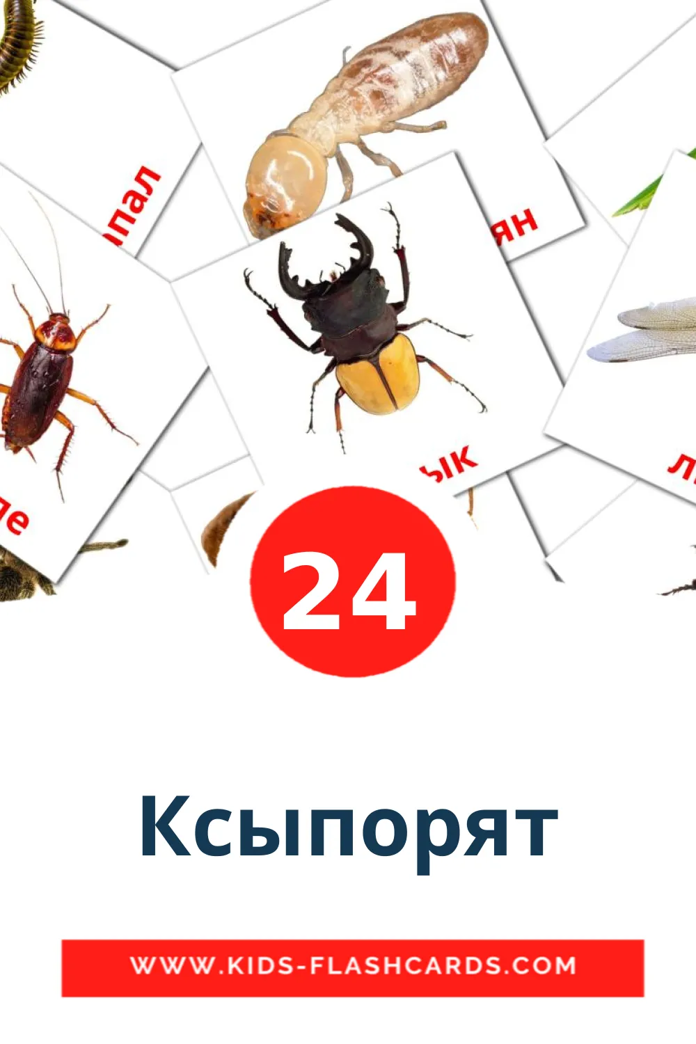 24 carte illustrate di Ксыпорят per la scuola materna in komi