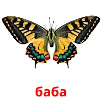 баба flashcards illustrate