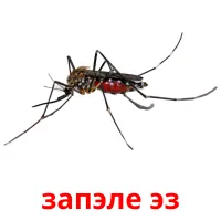 запэле эз flashcards illustrate