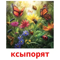 ксыпорят flashcards illustrate