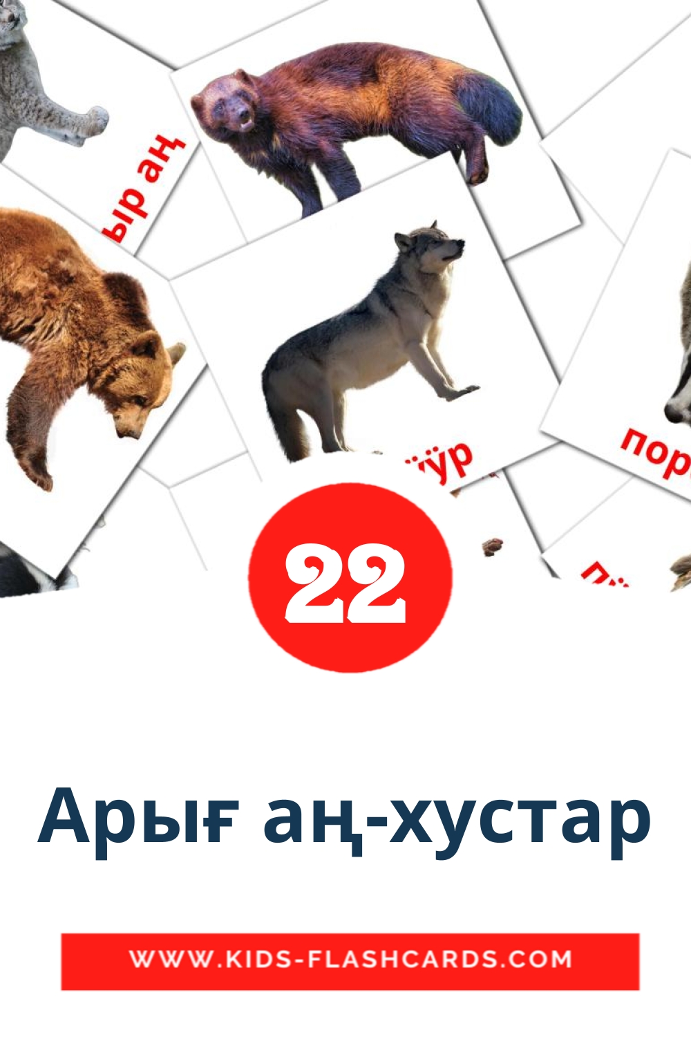 22 Арығ аң-хустар Picture Cards for Kindergarden in komi