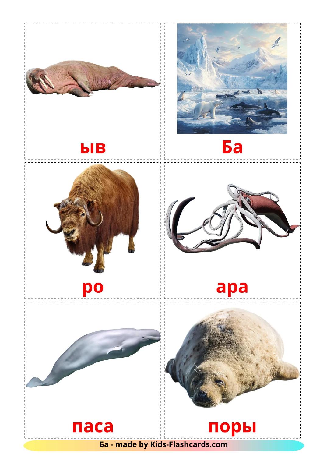 Les Animaux de l'Arctique - 15 Flashcards komi imprimables gratuitement