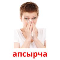 апсырча picture flashcards