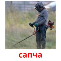 сапча picture flashcards