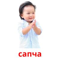 сапча picture flashcards