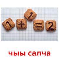 чыы салча picture flashcards