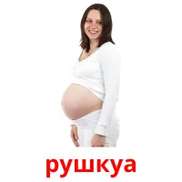 рушкуа cartes flash