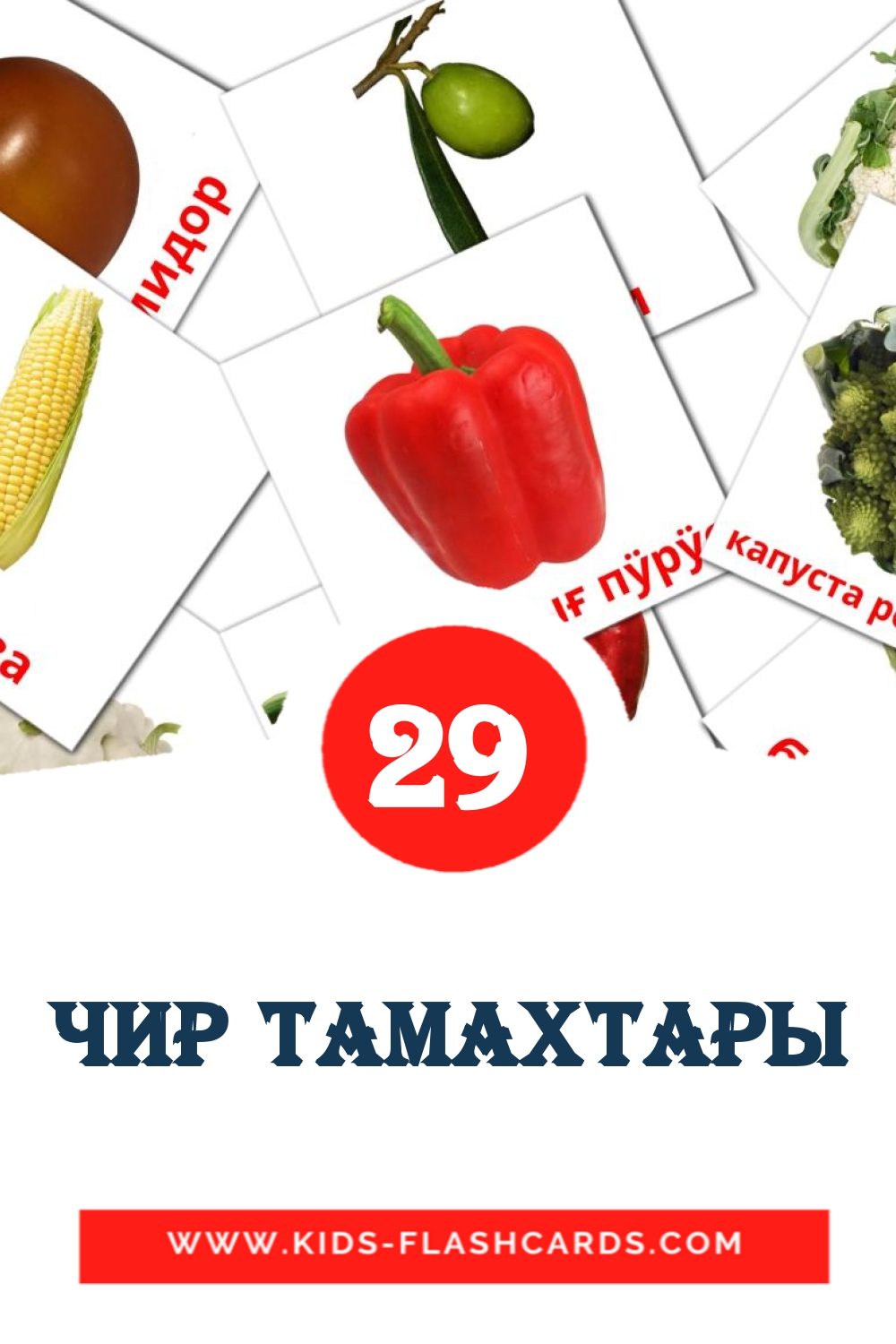 29 Чир тамахтары Picture Cards for Kindergarden in komi