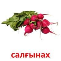 салғынах picture flashcards