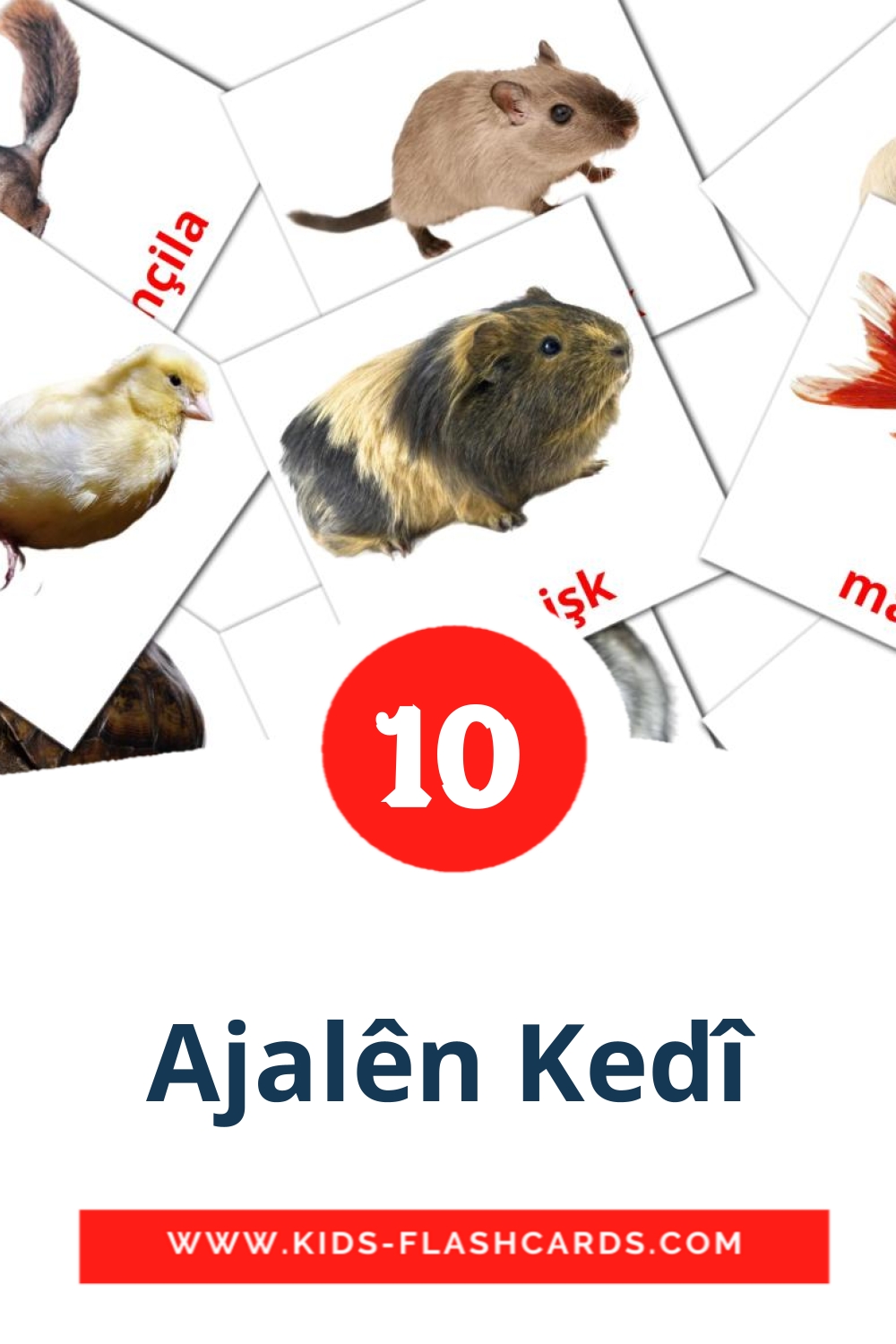 10 Ajalên Kedî Picture Cards for Kindergarden in kurdish(kurmanj)