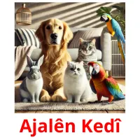 Ajalên Kedî ansichtkaarten