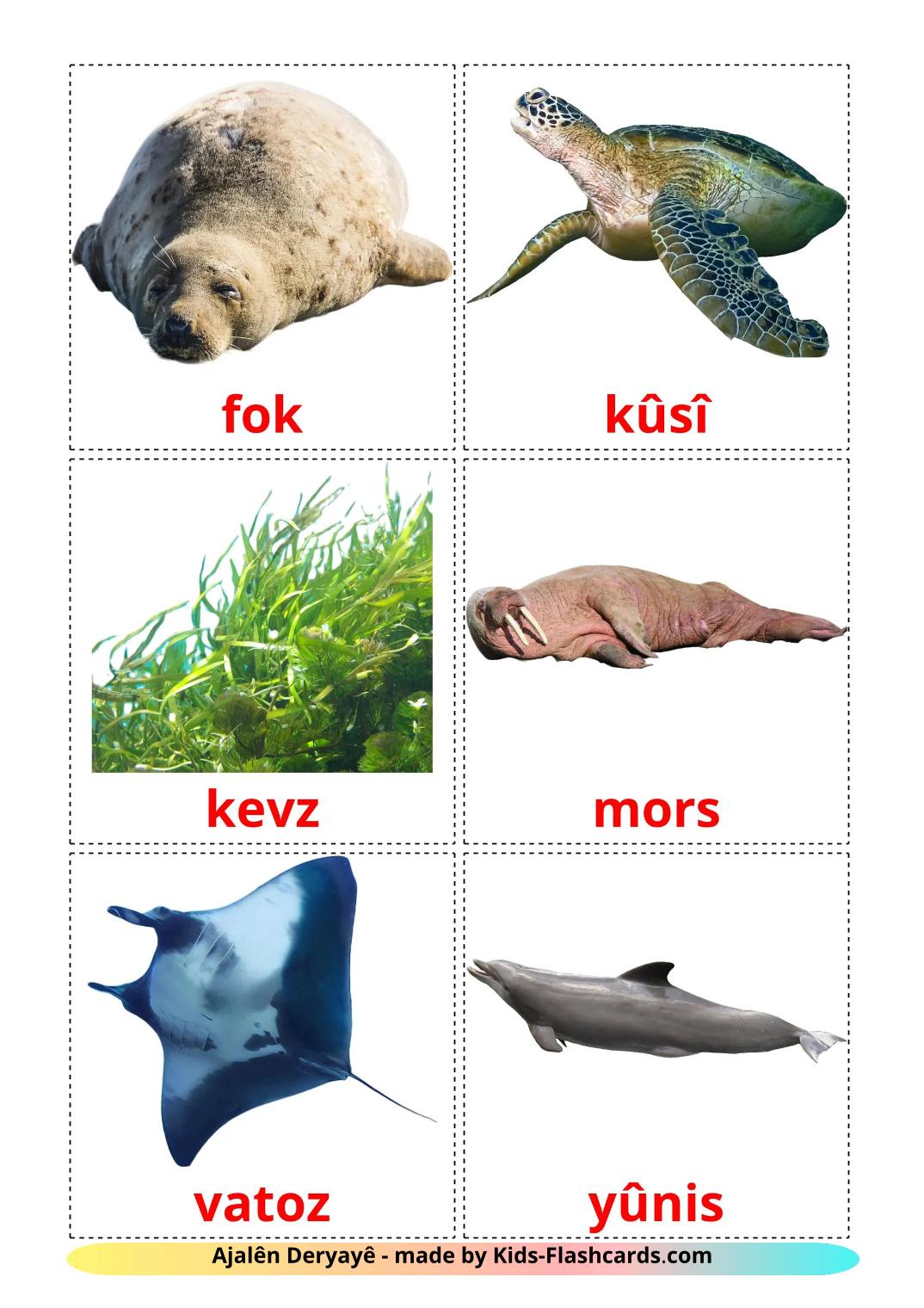 Zeedieren - 30 gratis printbare koerdisch(kurmanj)e kaarten