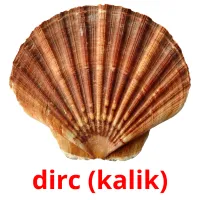 dirc (kalik) ansichtkaarten