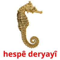 hespê deryayî ansichtkaarten