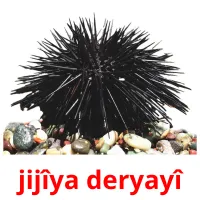 jijîya deryayî ansichtkaarten