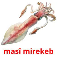 masî mirekeb ansichtkaarten