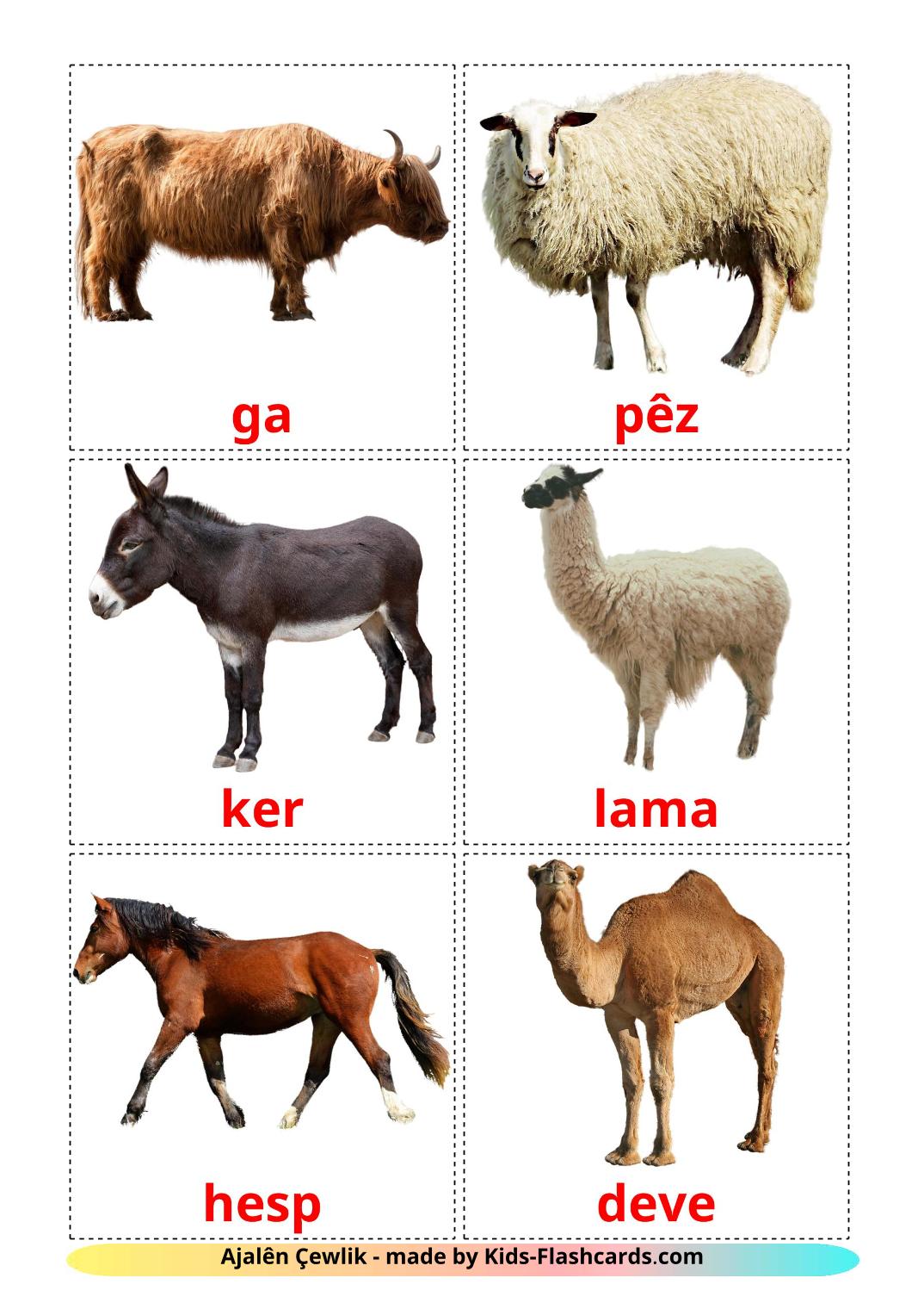 Farm animals - 15 Free Printable kurdish(kurmanj) Flashcards 