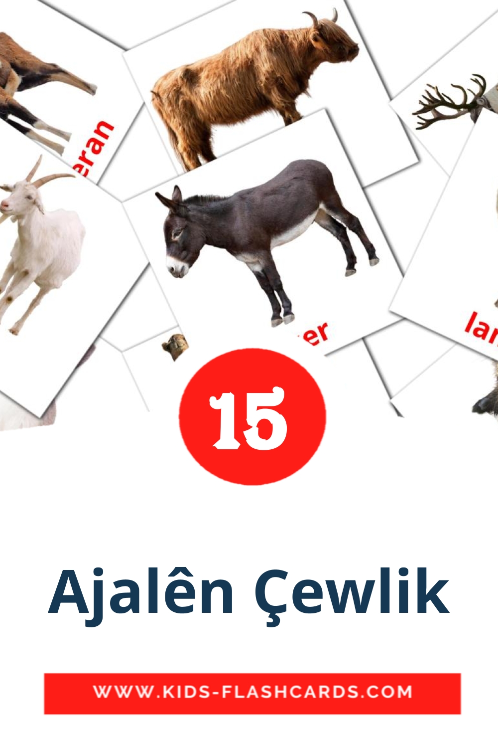 15 Ajalên Çewlik Picture Cards for Kindergarden in kurdish(kurmanj)