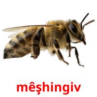 mêşhingiv card for translate