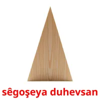 sêgoşeya duhevsan Bildkarten für Kinder