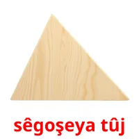 sêgoşeya tûj Bildkarten für Kinder