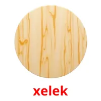 xelek Bildkarten für Kinder