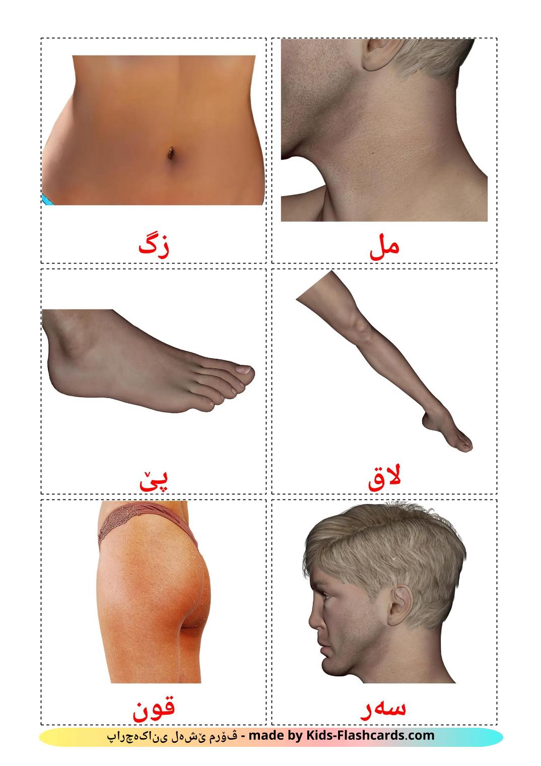 Partes del Cuerpo - 26 fichas de kurdo(kurmanj) para imprimir gratis